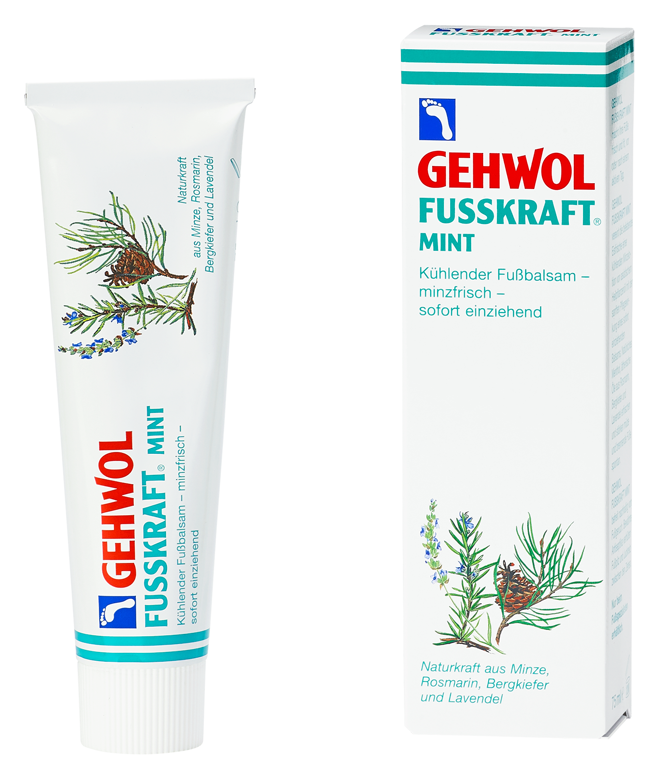 Gehwol Fusskraft Mint Foot Balm 75mL